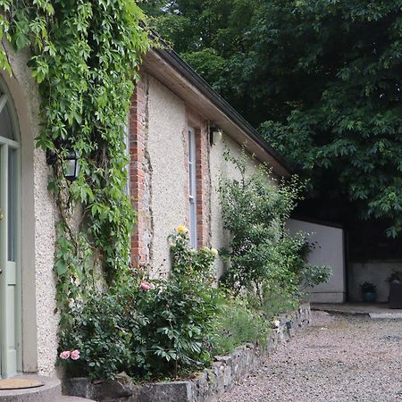 Millvale Cottage Cootehill Exteriér fotografie